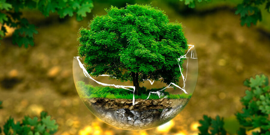 Green Claims & Nachhaltigkeit in der Werbung – Update Rechtsprechung & Regulierung (Online)