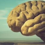 In einer surrealen Darstellung im Retro-Stil steht ein kleiner Mann vor einem riesengroßen Gehirn aus Stein in einer weiten, surrealen Landschaft.