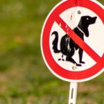 Schild gegen Hundekot