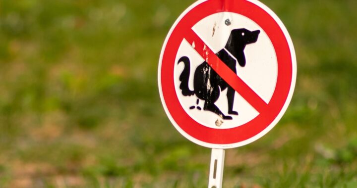 Schild gegen Hundekot